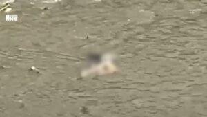 Alerta por cuerpo sin vida hallado en el Río Medellín