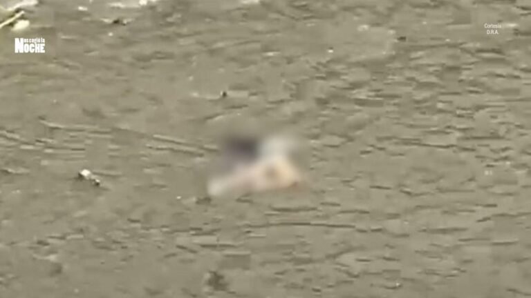 Alerta por cuerpo sin vida hallado en el Río Medellín