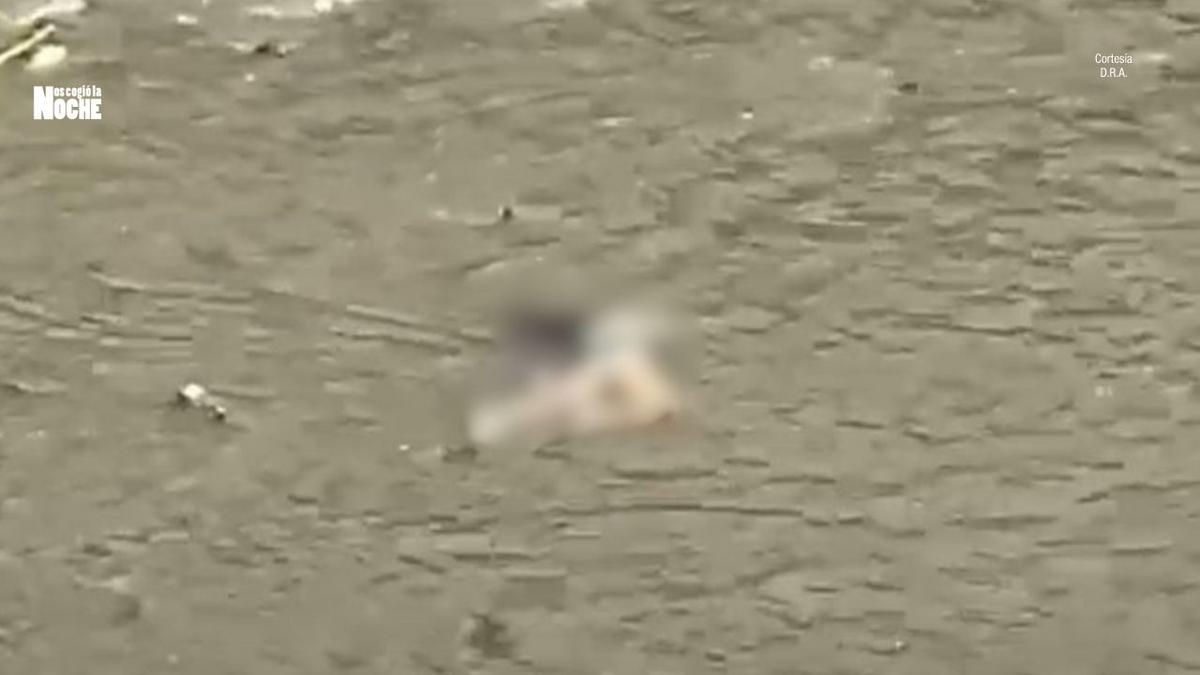 Alerta por cuerpo sin vida hallado en el Río Medellín