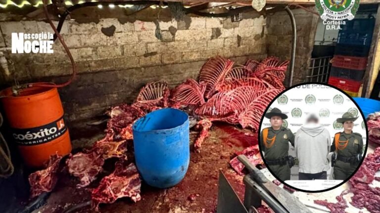 Incautan más de nueve toneladas de carne y capturan a una persona en operativo contra el abigeato