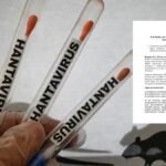 Colombia descarta alerta por hantavirus tras brote reportado en crucero internacional