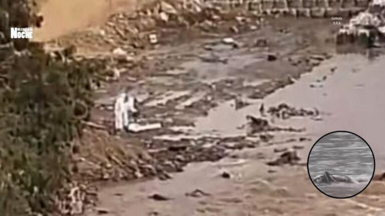 Encontraron el cadáver de una mujer en el Río Medellín, a la altura de la estación Acevedo del Metro
