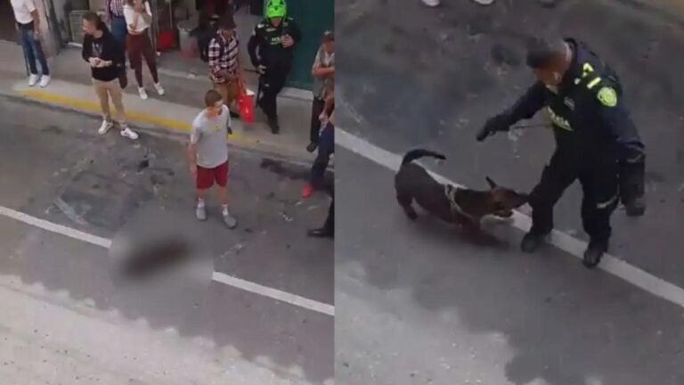 Policía abre investigación contra uniformado que mató a un perro durante procedimiento en Rionegro