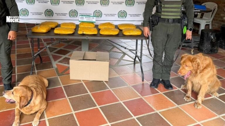 Max y Niña frustran envío de 20 kilos de cocaína a través de encomienda