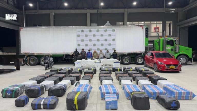 Desmantelan millonario cargamento de marihuana que iba a abastecer plazas de vicio en Medellín