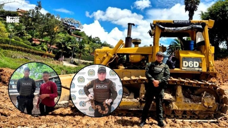 Incautan maquinaria pesada y rescatan fauna silvestre en operativos ambientales en Antioquia
