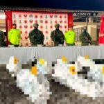Duro golpe al Clan del Golfo: bombardeo en Chocó deja nueve presuntos integrantes muertos