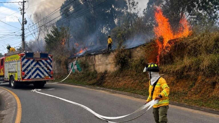 Autoridades intensifican medidas para enfrentar la temporada seca en Medellín