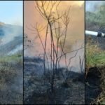 Bomberos avanzan en el control de incendio forestal en Bello; emergencia está contenida en un 80 %