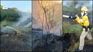Bomberos avanzan en el control de incendio forestal en Bello; emergencia está contenida en un 80 %