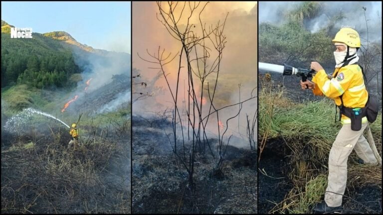 Bomberos avanzan en el control de incendio forestal en Bello; emergencia está contenida en un 80 %