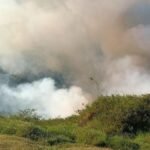 Las llamas superan los 4 metros de altura en un incendio forestal que tiene en máxima alerta a las autoridades de Bello