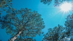 Gobierno se defiende: $4 billones de la UNGRD serán para El Niño
