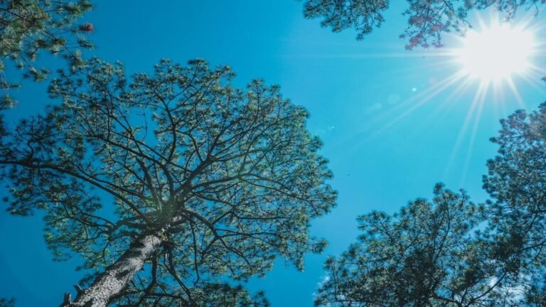 Gobierno se defiende: $4 billones de la UNGRD serán para El Niño