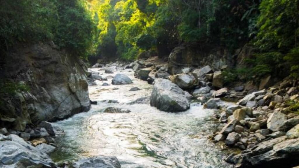 Hallan el cuerpo de hombre que cayó al río Cocorná tras compleja operación de rescate