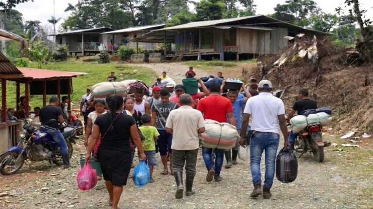 Defensoría alerta por persistencia del desplazamiento y confinamiento en Colombia: Antioquia, entre los departamentos más afectados