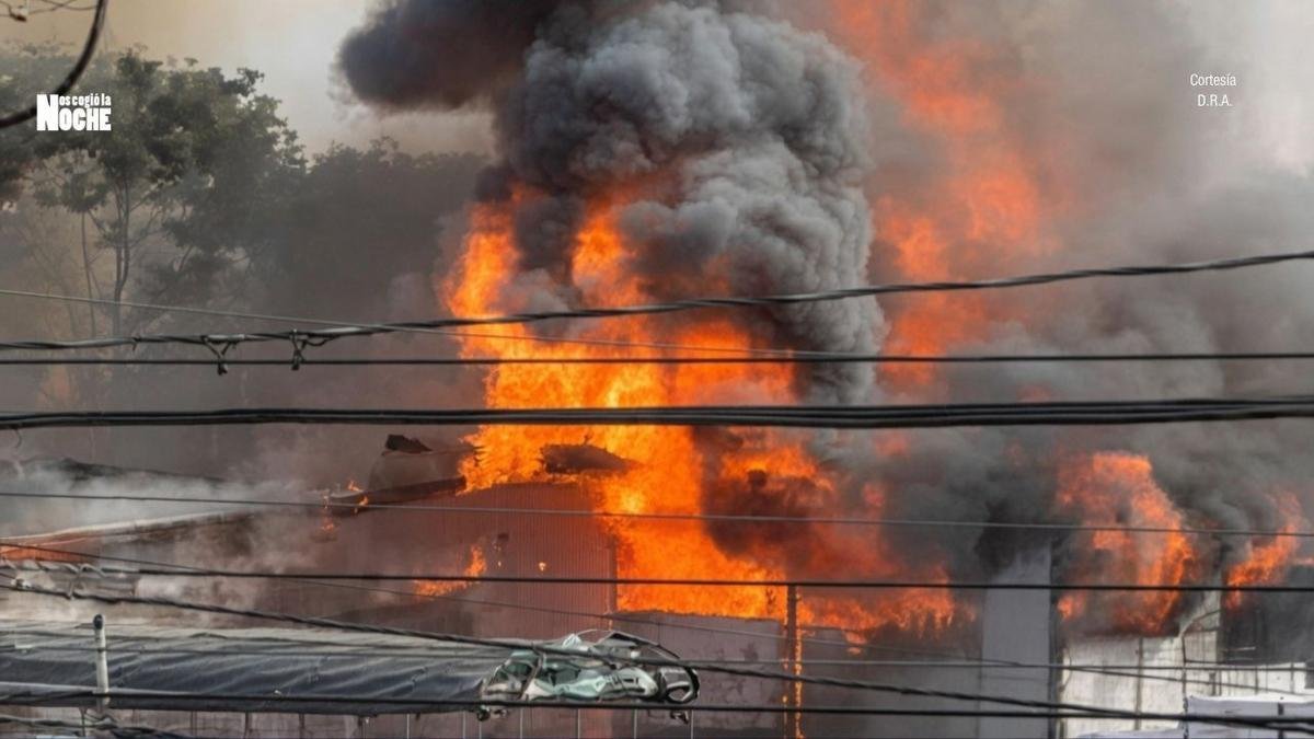 Dos perritos muertos y dos heridos, es el lamentable saldo que dejó el voraz incendio de Bello