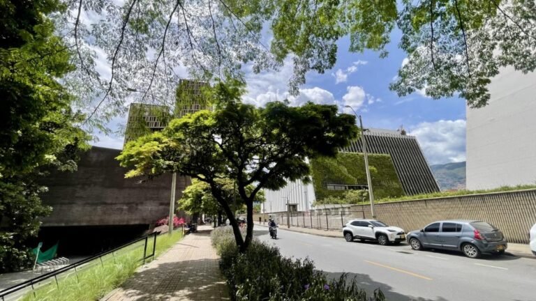Medellín será sede de una de las conferencias más importantes del mundo sobre árboles urbanos