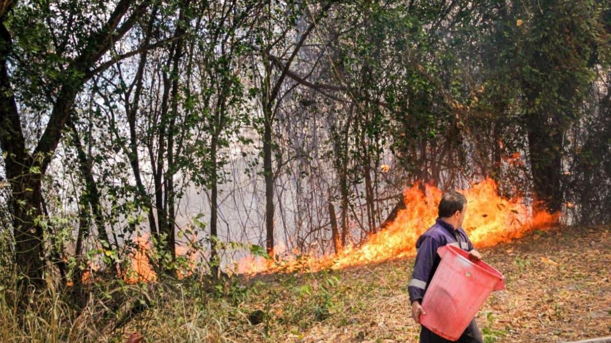Alerta por incendios forestales: hay 32 activos en ocho departamentos de Colombia