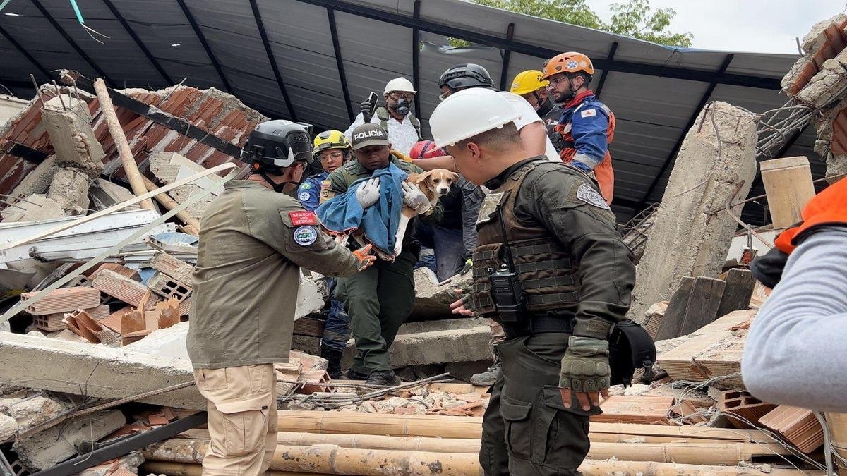 terremoto deja 294 muertos y más de 14.000 viviendas destruidas, según nuevo balance de la UNGRD