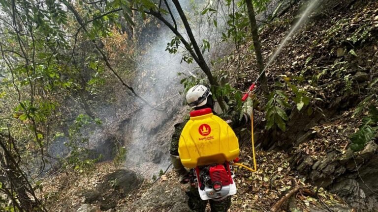 Tolima enfrenta 17 incendios activos y más de 11.000 hectáreas afectadas por el fuego