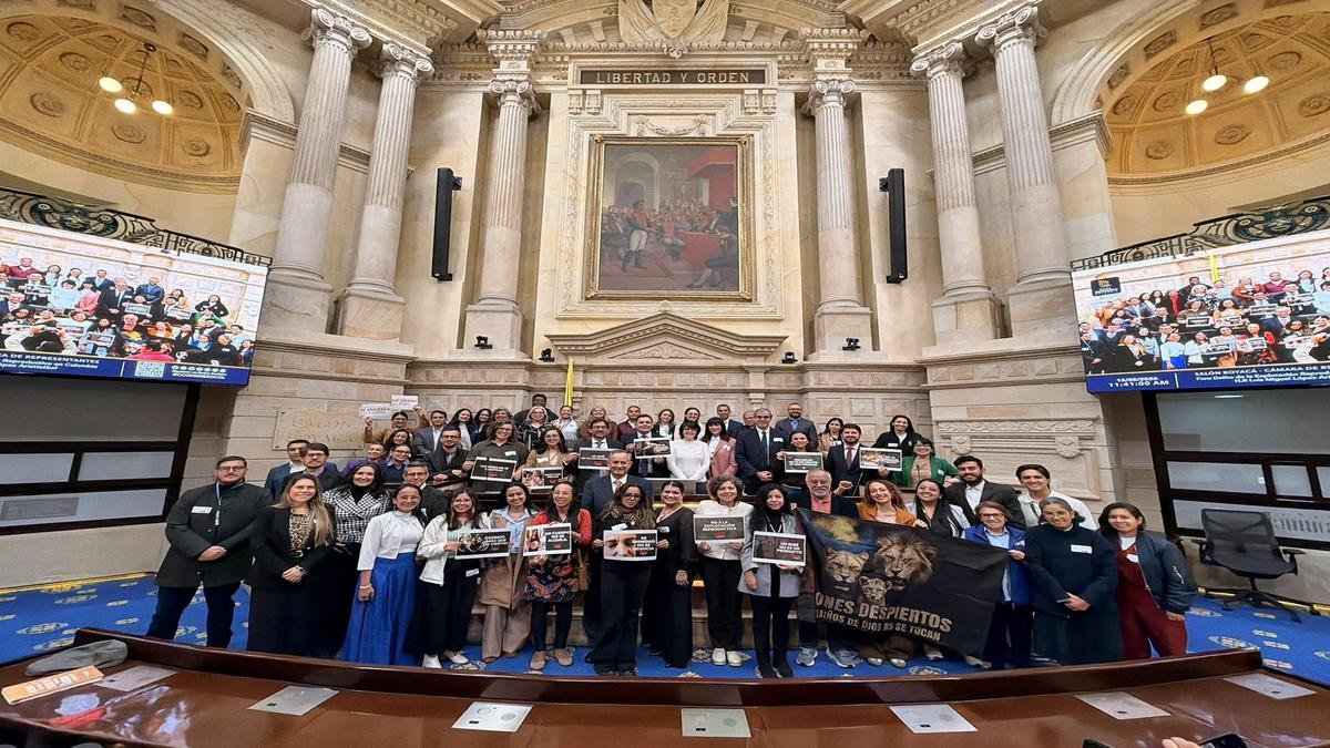 ¿Vientres en alquiler en Colombia? Congreso discute el tema