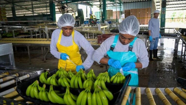 Más empleo para las mujeres se extiende por Antioquia