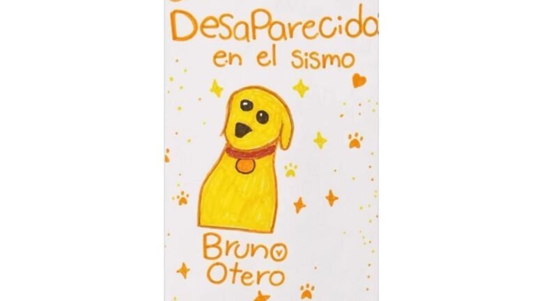 Una niña de Cali dibujó a su perro perdido durante el terremoto… y volvió a encontrarlo