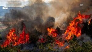 ¿La izquierda está incendiando literalmente el país?
