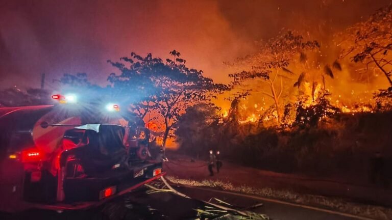 Colombia mantiene 16 incendios forestales activos