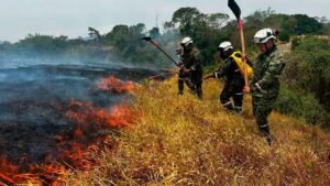 “Están siendo provocados”: Gobierno refuerza Fuerza Pública por incendios en Tolima