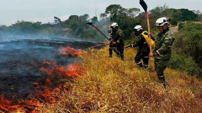 “Están siendo provocados”: Gobierno refuerza Fuerza Pública por incendios en Tolima