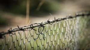 “Xenofobia” vs. “poner orden en la casa” Deportaciones dividen al Congreso