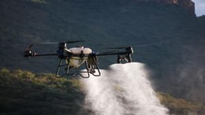 Coca rompe récords: Colombia sumó 118.000 hectáreas en solo cuatro años