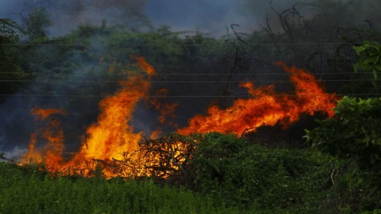 El “cóctel perfecto”. Más de 600 municipios en alerta por incendios