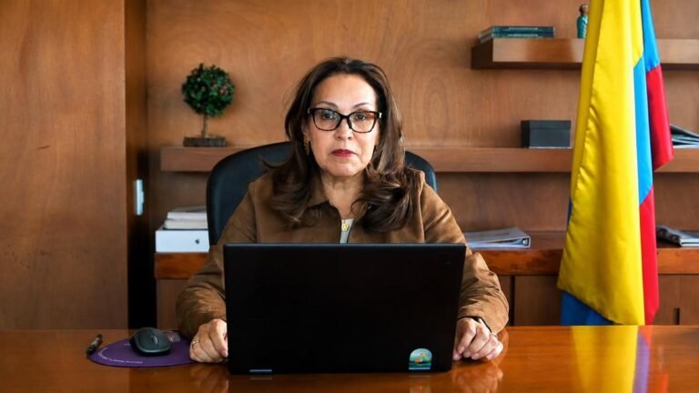 Viviane Morales responde: “No se trata de privatizar la educación”
