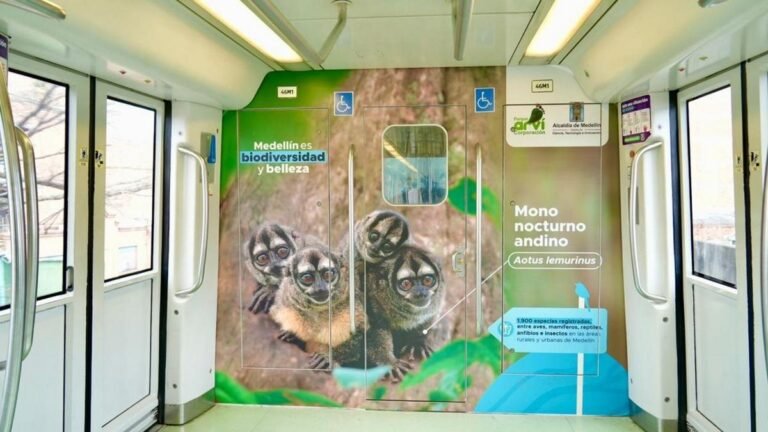 La biodiversidad de Medellín se sube al Metro: dos trenes muestran la fauna de la ciudad