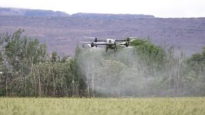 ¿Glifosato o bioherbicidas? El debate que revive Colombia