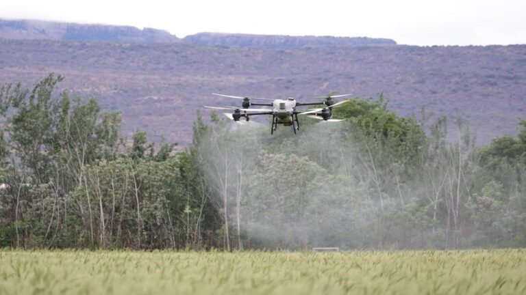 ¿Glifosato o bioherbicidas? El debate que revive Colombia