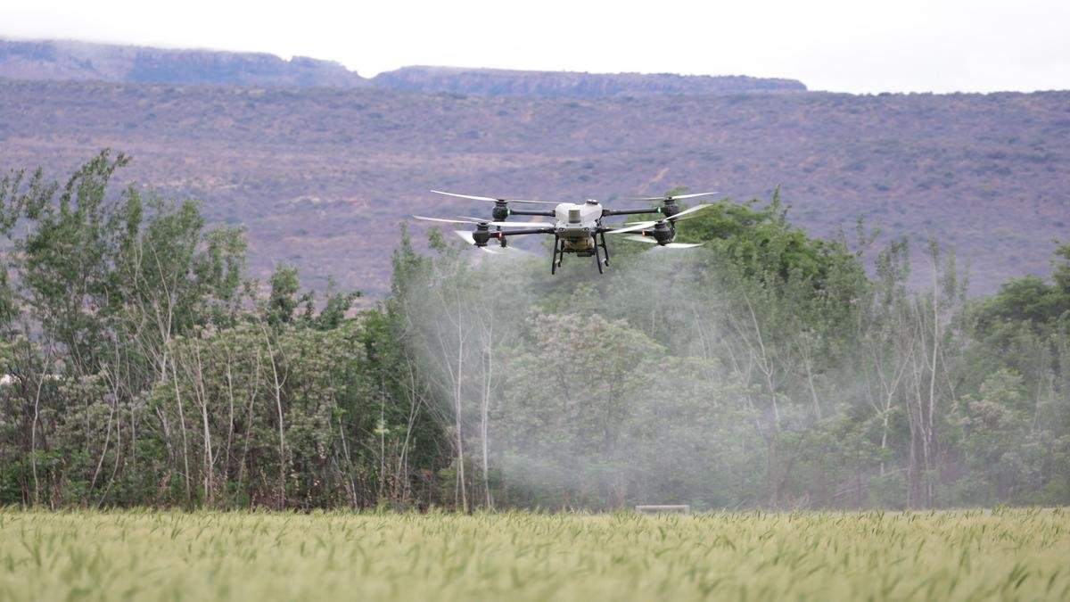 ¿Glifosato o bioherbicidas? El debate que revive Colombia