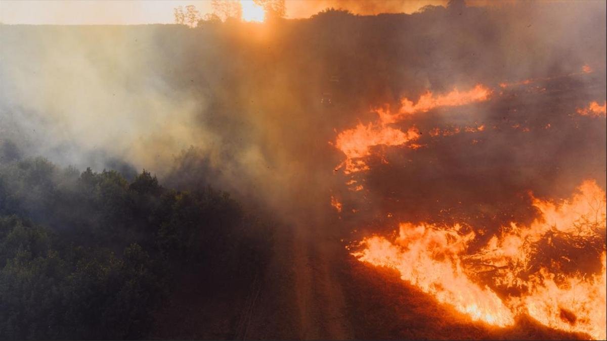 ¿Incendios para encubrir minería ilegal?