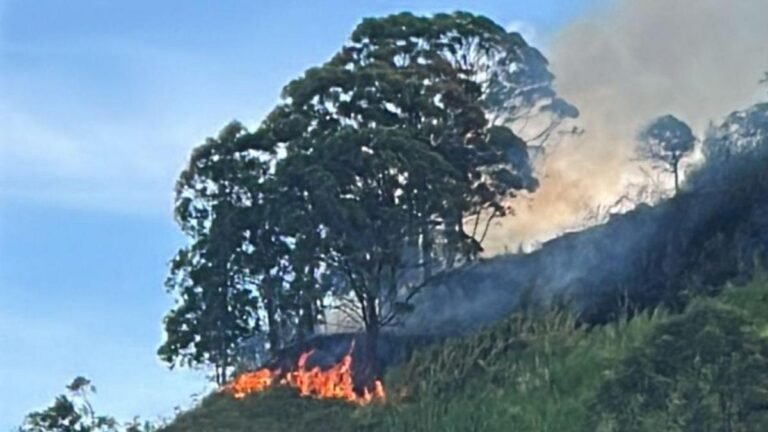 Bomberos atienden incendio forestal en Rodeo Alto, Medellín