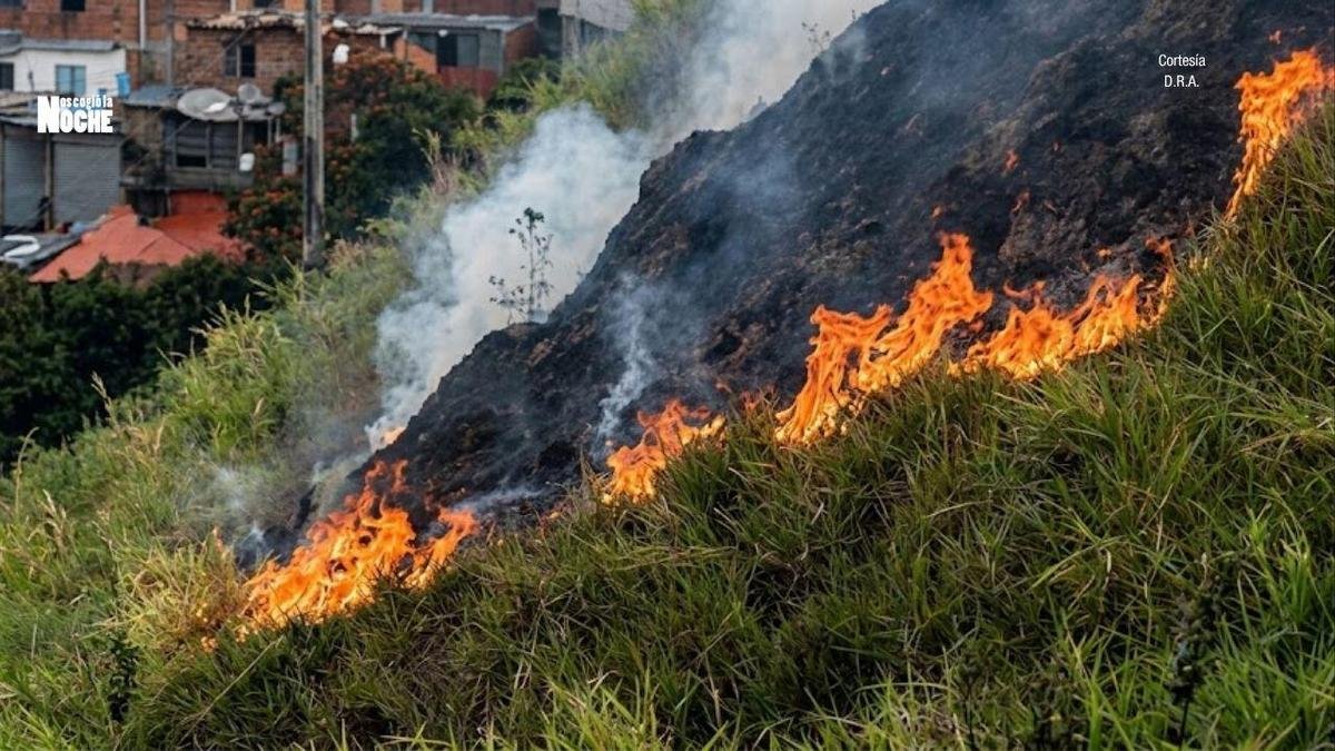 Tres incendios forestales se atienden simultáneamente en Medellín