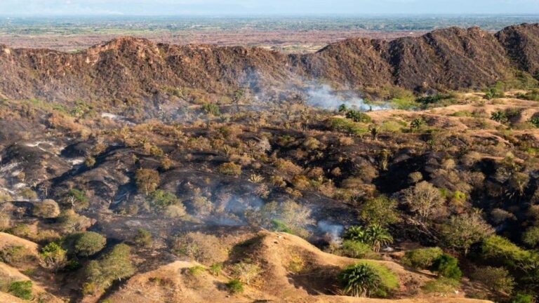 Más de $134.000 millones en pérdidas. Incendios arrasan el Tolima