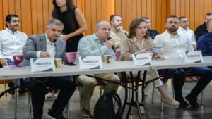 Consulta previa. A ponerle las reglas claras