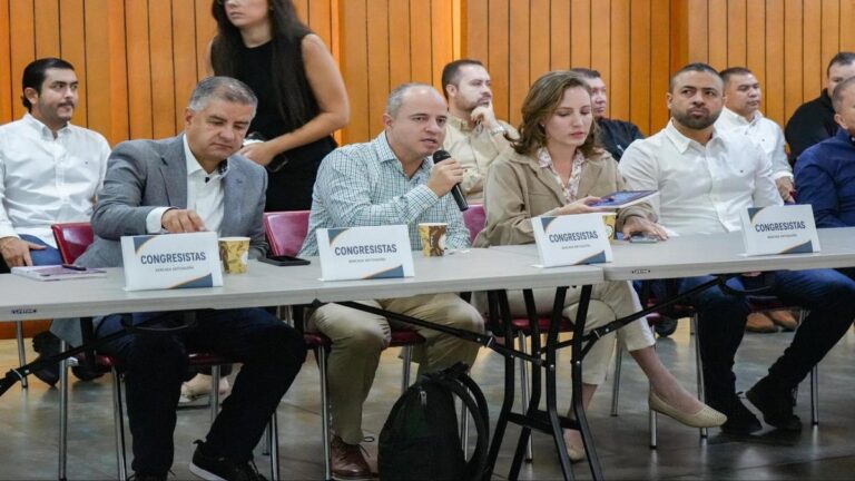 Consulta previa. A ponerle las reglas claras