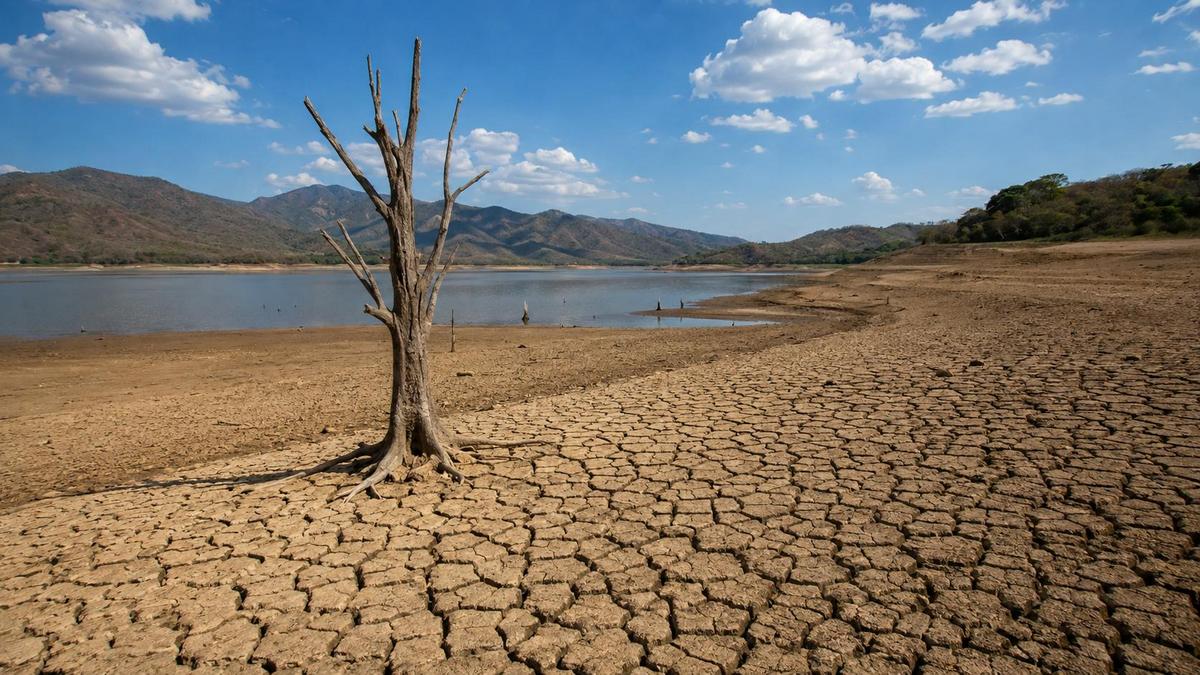 ¡Alerta por El Niño! Se intensificará hasta finales de 2026 y podría durar hasta febrero