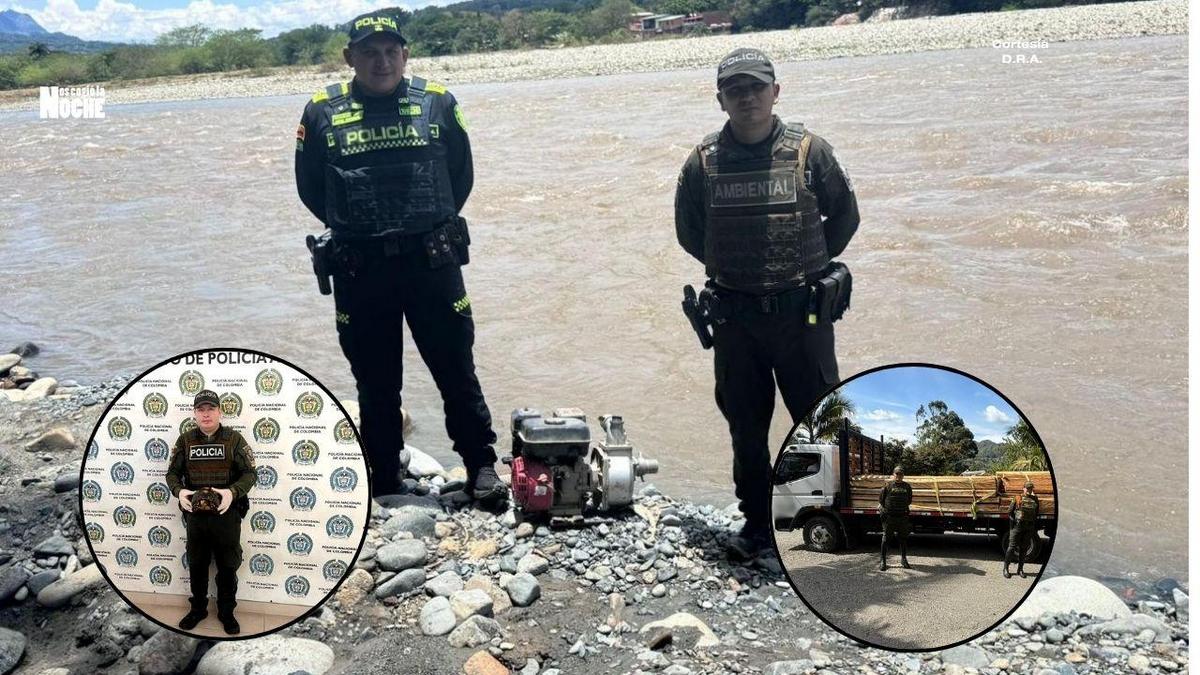Policía interviene mina e incauta madera y fauna en operativo ambiental en Antioquia