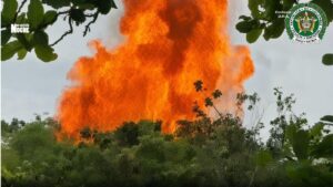 Golpe al narcotráfico en Casanare: incautan 550 kilos de cocaína
