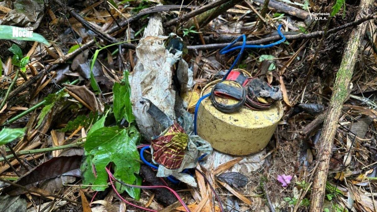 Golpe al terrorismo en Caquetá: destruyen depósito con seis explosivos del Bloque Jorge Suárez Briceño